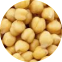 Campola